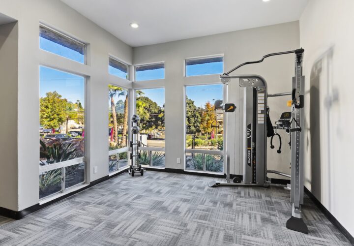 trolley palms interior 2 trolley palms interior 2