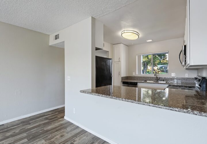 trolley palms interior 3 trolley palms interior 3