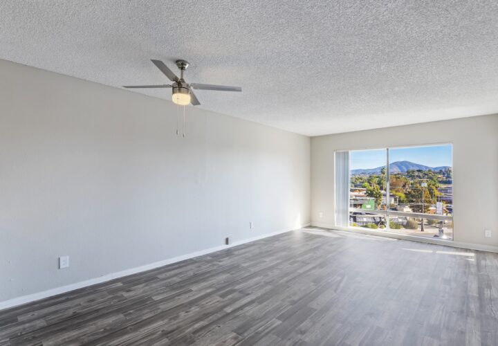 trolley palms interior 4 trolley palms interior 4